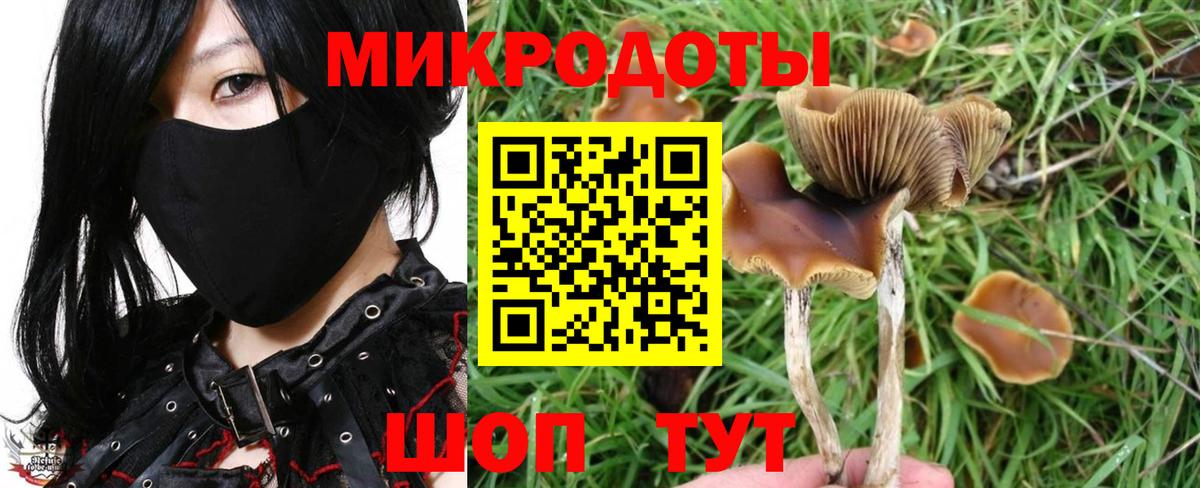 Галлюциногенные грибы мицелий Алапаевск