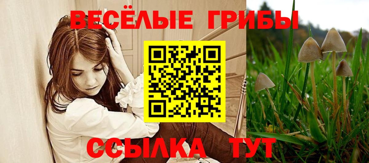 Алапаевск  Галлюциногенные грибы Psilocybine cubensis  Вход с VPN  Галлюциногенные грибы Psilocybine cubensis 